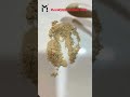 100% Natural Garlic Powder | Fine Mesh | Bulk Supply Available