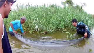 Pegamos Muito Camarão No Peneirão