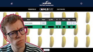 baseball youtuber plays with pickle