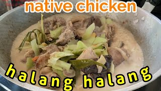 NATIVE CHICKEN HALANG HALANG NATIVE CHICKEN HALANG HALANG