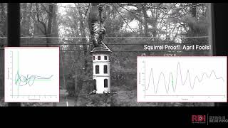 Squirrel Proofing