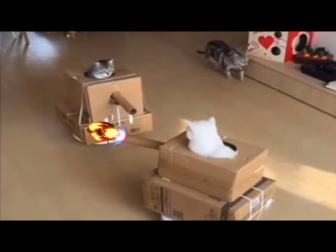 TOP 5 BOX