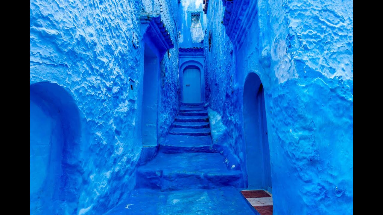 Strain of the Week: BLUE CITY DIESEL