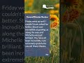 Tonbridge Funeral Directors Review by Zac | Welham Jones Funerals &amp; Memorials