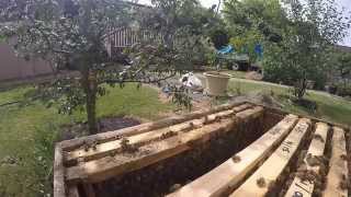Under Supering 001- Beekeeping with great bees