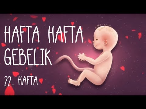 Hafta Hafta Gebelik 22. hafta