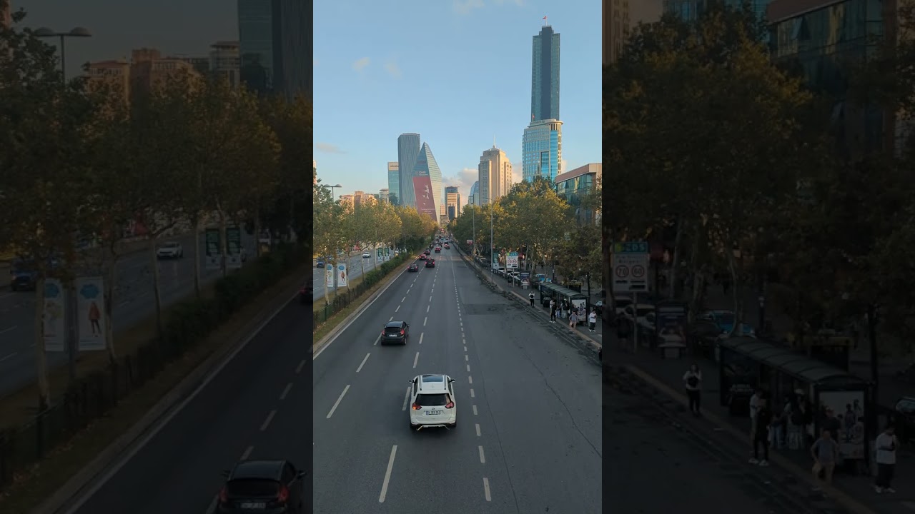 Spectacular View Sultan Selim 