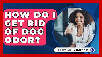 How Do I Get Rid of Dog Odor? - LearnToDIY360.com