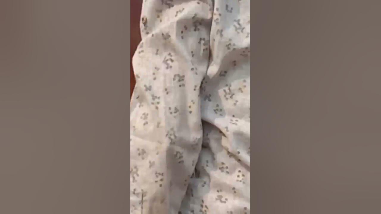 Kurbani eid collection 2023 YouTube