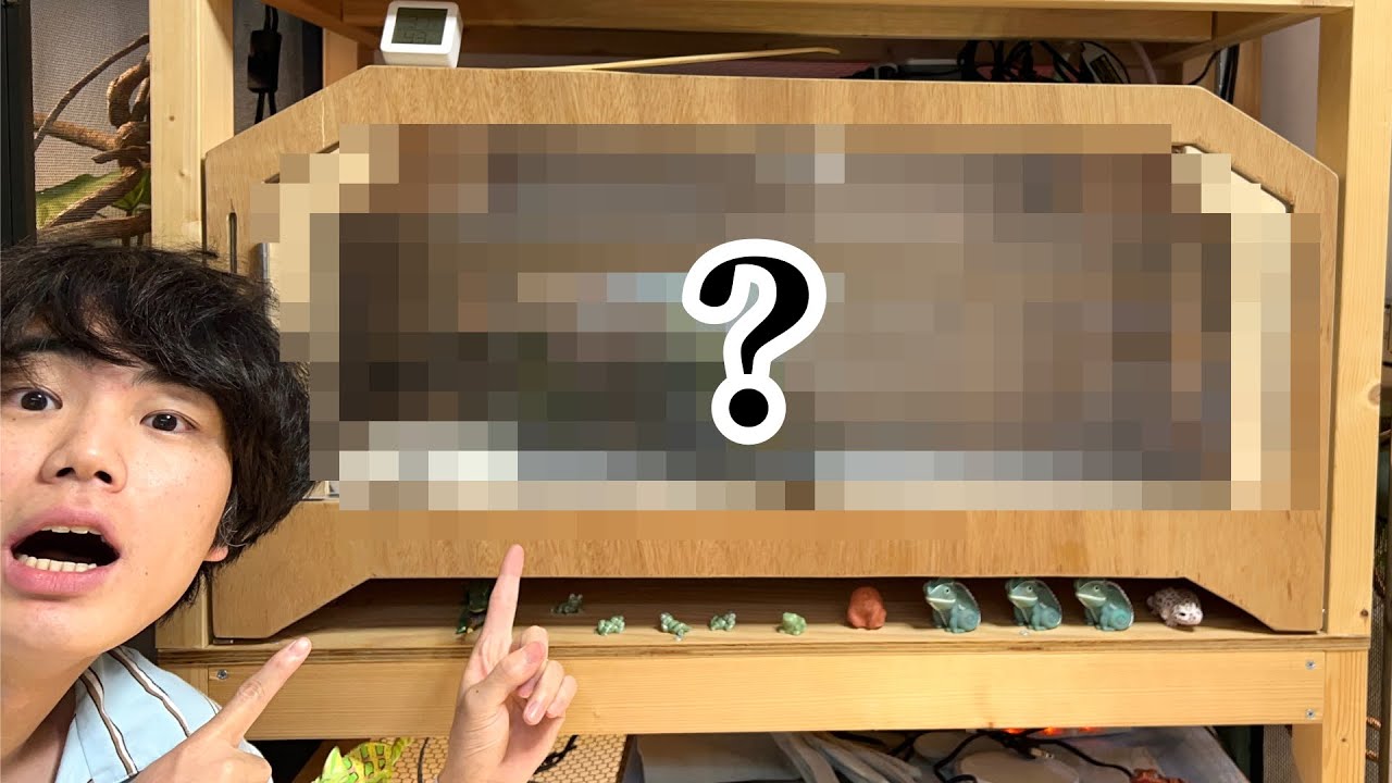 We will be keeping a certain creature in a custom-made wooden cage
