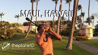 Top 10 Things to do in Maui | The Planet D | Travel Vlog