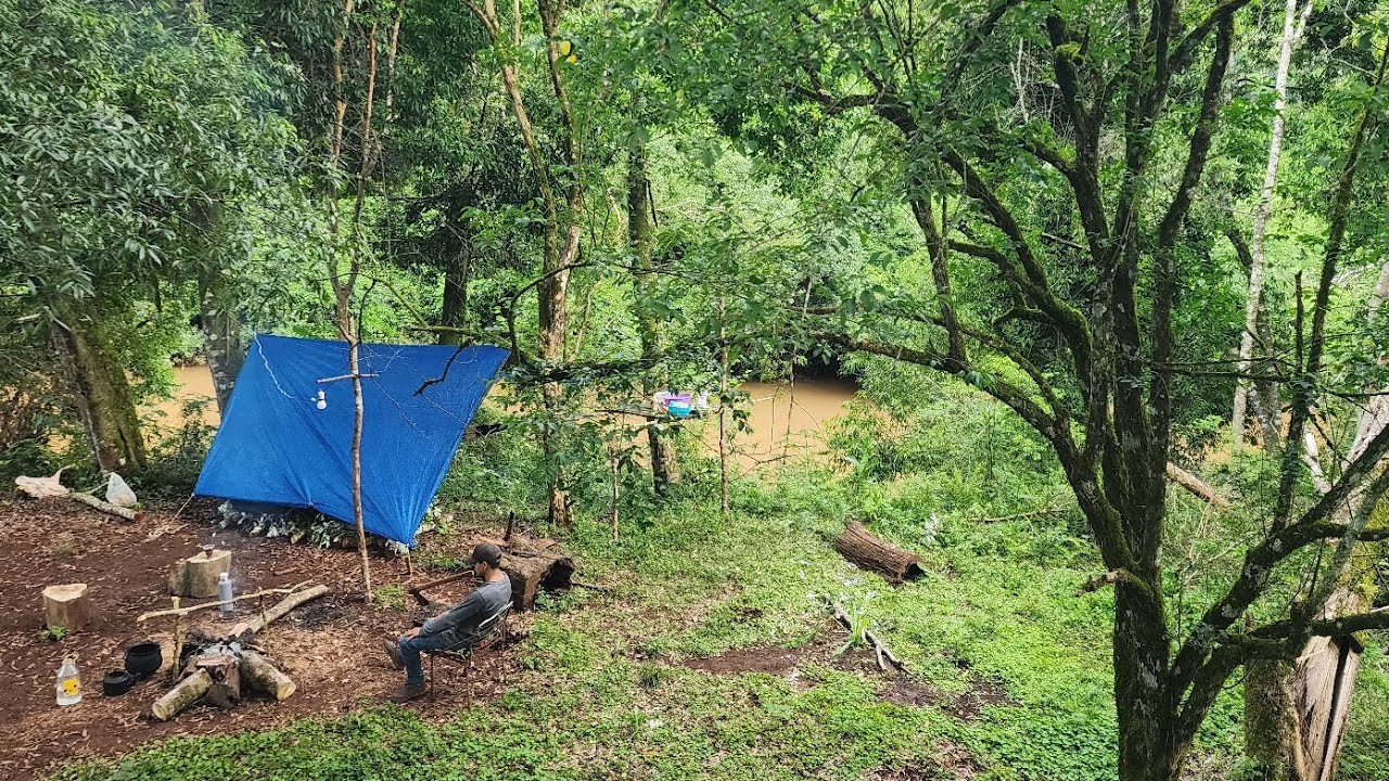 Pesca Y Aventuras En Medio De La Selva Misionera 