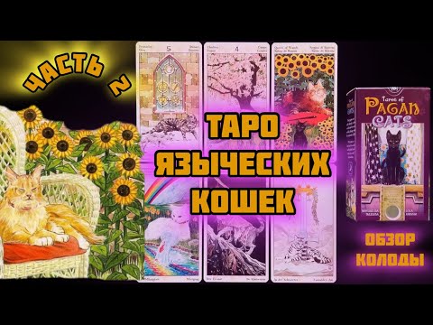 Обзор колоды Таро Языческих кошек (Pagan Cats)_Часть 2. Пентакли и Жезлы