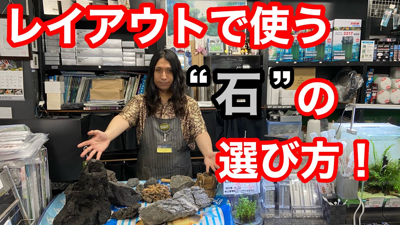 アクアショップ店長が語る、“石”の選び方！ - YouTube