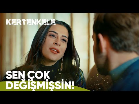 Demek üstüme gül kokladın... - Kertenkele 85. Bölüm