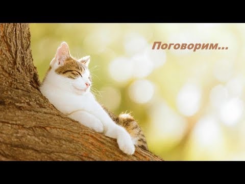 Вышивка крестом африканки схемы бесплатно