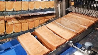 Amazing Bread Making Process In Kolkata Mega Factory । Kohinoor Bakery Bread । India