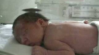 Imagen 251.avi
