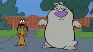 2 Stupid Dogssuper Secret Secret Squrriel Is Cute But The Context Is Wrong