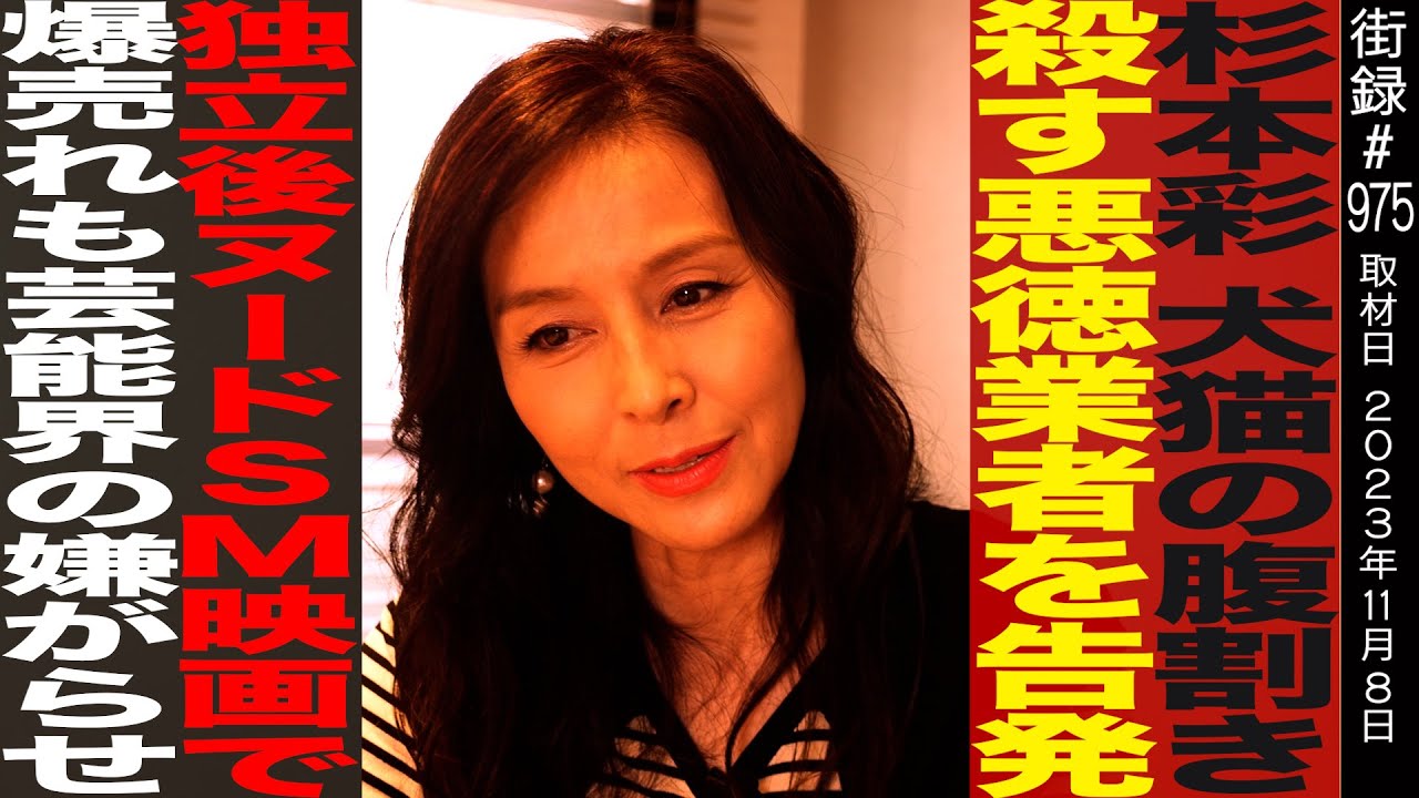 【前編】杉本彩/犬猫の残虐な繁殖行為を重ねる悪徳業者を告発/独立後S◯映画で爆売れも芸能界の嫌がらせで…