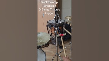 Black Swamp Percussion The Di Sanza Triangle Trigger #orchestra #triangle #percussion
