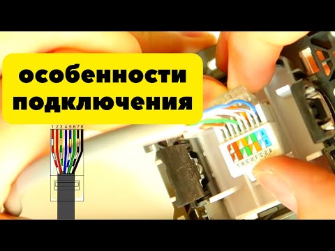 Видео: Как подключить гнездо Ethernet?