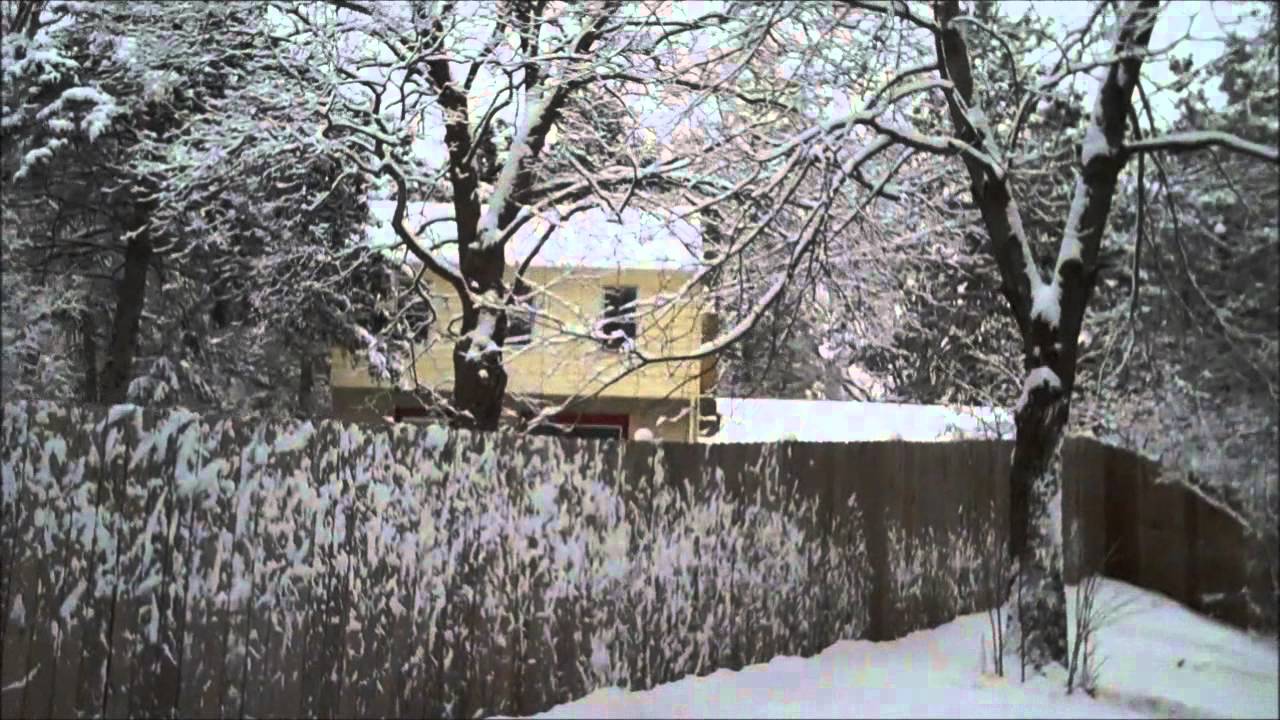 Some differences between New York and Minnesota skilled migration to canada