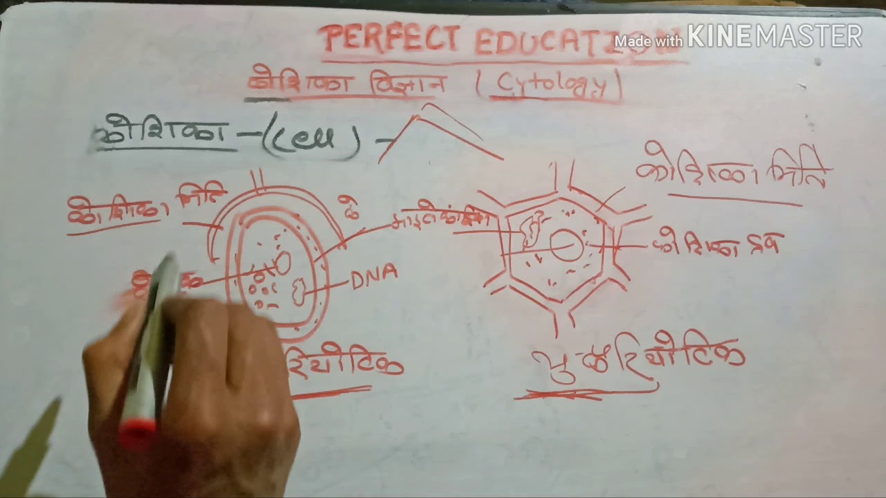 कोशिका विज्ञान का BASIC CONCEPT - YouTube