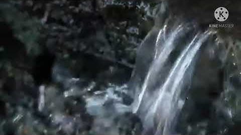 فيديو الراحه النفسيه التي لا توصف سوره الكهف بصوت محمد النقيب