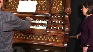 O Come, All Ye Faithful (2017 Christmas Collection) Doherty "Cathedral" Reed Organ chords