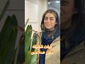 لیفت شقیقه دکتر صلاحی مشاوره و وقت دهی واتس اپ ۰۹۳۳۴۹۳۷۰۹۷ لیفت شقیقه دکتر صلاحی مشاوره و وقت دهی واتس اپ ۰۹۳۳۴۹۳۷۰۹۷