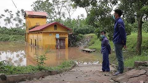 Tuyến đê sông Đáy sụt lún nghiêm trọng, tiềm ẩn nguy cơ vỡ đê