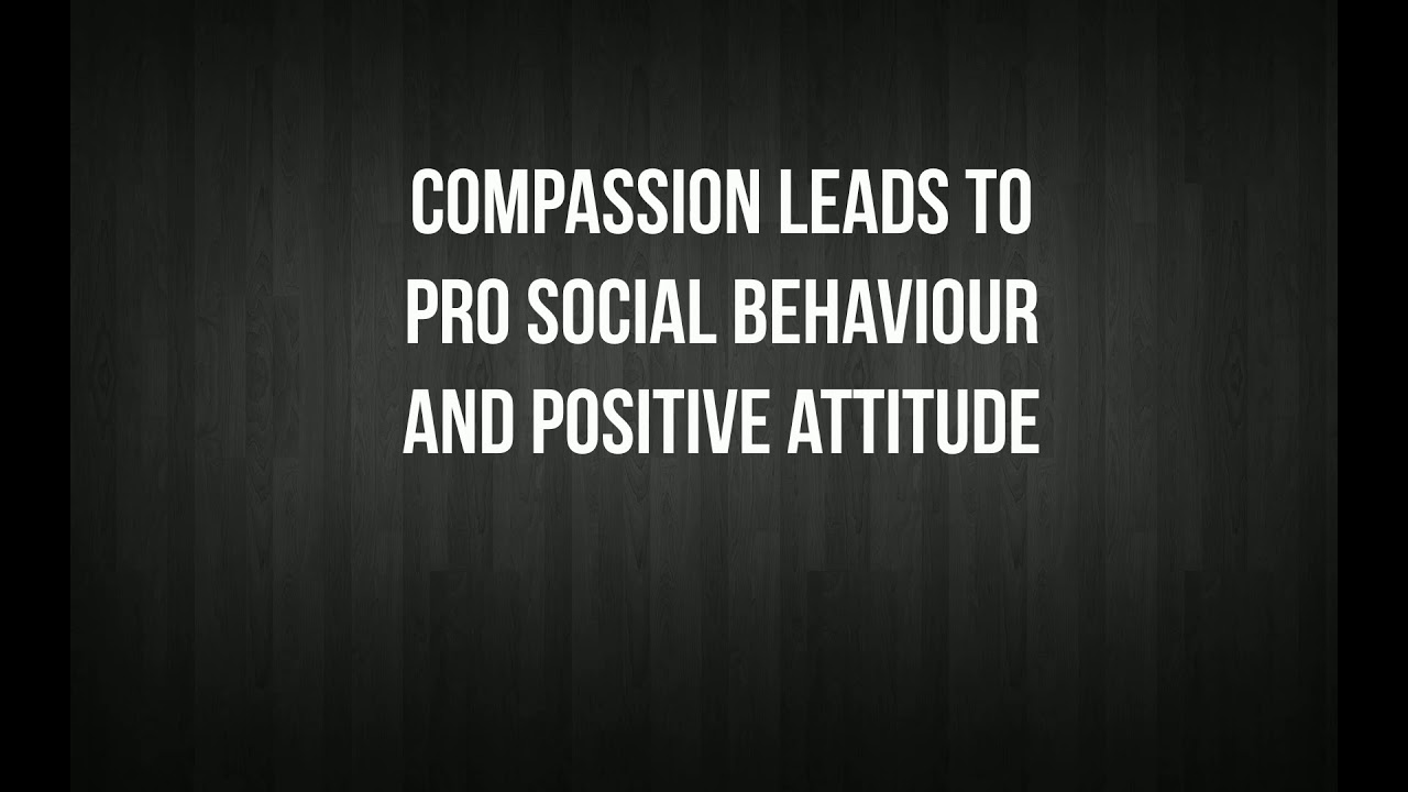 Social awareness program