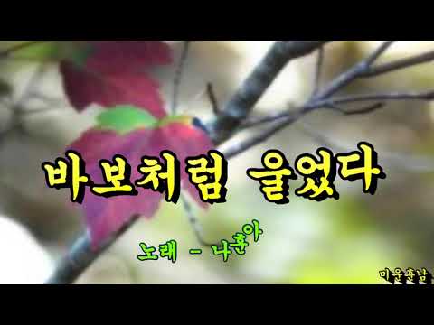 바보처럼 울었다  -  나훈아