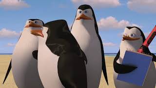 DreamWorks Madagascar | Where Are The People? | Madagascar Movie Clip DreamWorks Madagascar | Where Are The People? | Madagascar Movie Clip
