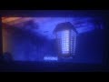 A Bug's Life (1998 Don't look at the light! (AUDIO DESCRIPTION)