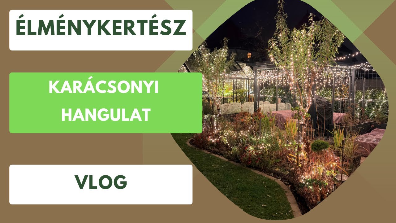 Gyönyörű karácsonyi dekoráció a kertben és az otthonunkban is!🎄