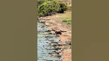 TIZAMA MAAJABU YA NGEKEWA KIPENZI CHA WOTE 