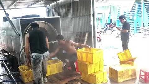 Máy rửa gừng và  nông sản của công ty Tech Garden sản xuất. LH 0935911775 Trần Trinh.