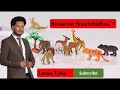 The best afan oromo poem