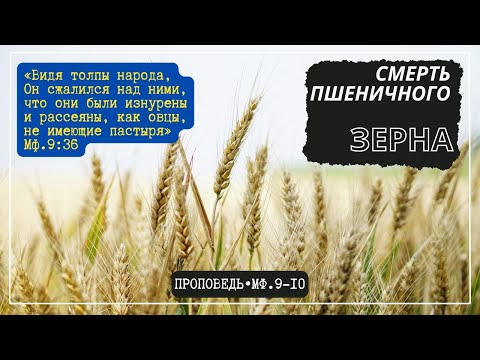 СМЕРТЬ ПШЕНИЧНОГО ЗЕРНА или СОСТРАДАЙ, МОЛИСЬ, ДЕЙСТВУЙ. Мф.9-10 // Проповедь