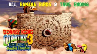 Donkey Kong Country 3 (SNES) (105%) (9|9) / All Banana Birds & True Ending [4:3/FHD@60]