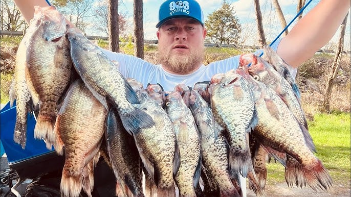 How I Hook My Minnows For Crappie Fishing #shorts 