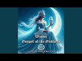 آتش جادوگر زیر شاخه ها