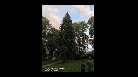 Incredible drone rescue   Beta85 Pro 2