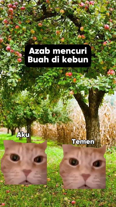 Jangan di contoh ya 😼#kucingmeme #shorts  #shortcats #kucingluculucu #memecats #fypシ゚ #fypyoutube