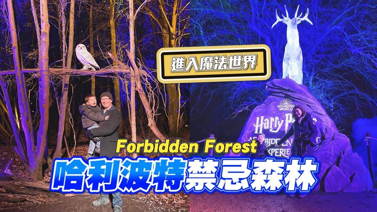 英國哈利波特迷不可錯過！我們進入魔法禁忌森林啦～