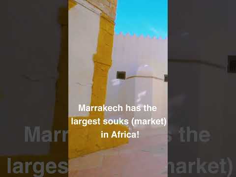 Marrakech Souk Chronicles A Vibrant Tapestry Of Tradition And Treasures Shorts