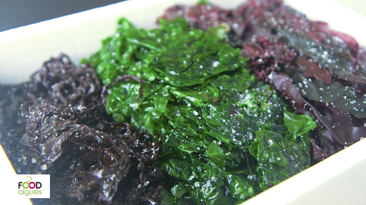 De la pêche au tartare d'algues !