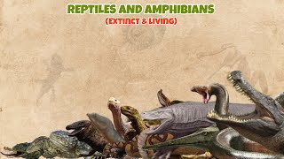 REPTILES AND AMPHIBIANS  Extinct and living comparison 05.